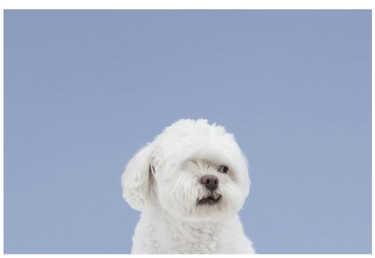 2017-04-13_09%3B27%3B59.PNG?type=w773