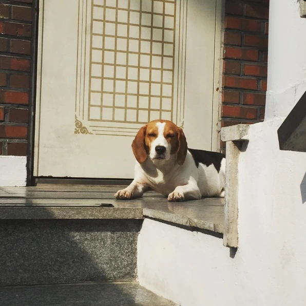 %EA%B7%B8%EB%A6%AC%EC%BB%A4%EB%A6%AC%EA%B7%B8%EB%A6%AC.jpg?type=w773