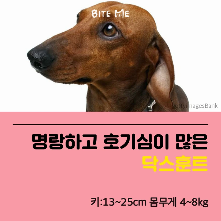 tyle-A7z-2_%284%29.png?type=w773