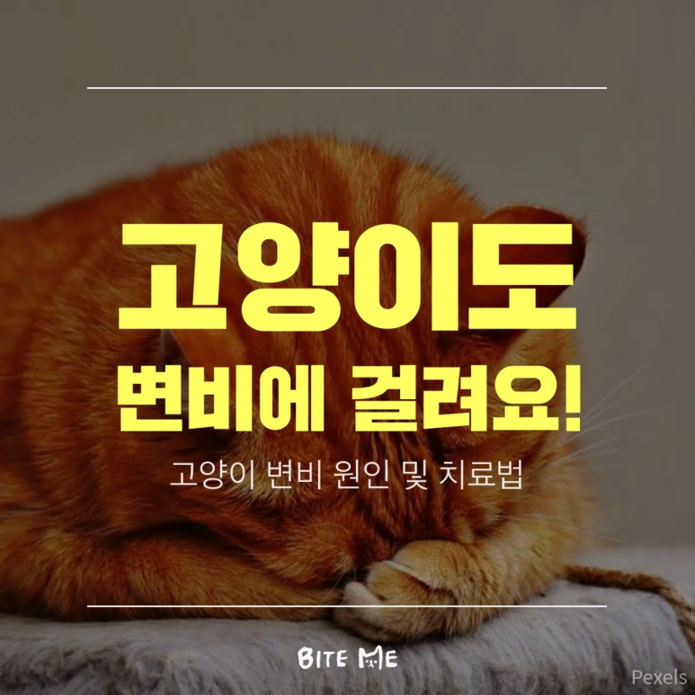 tyle-wTd-3.png?type=w773