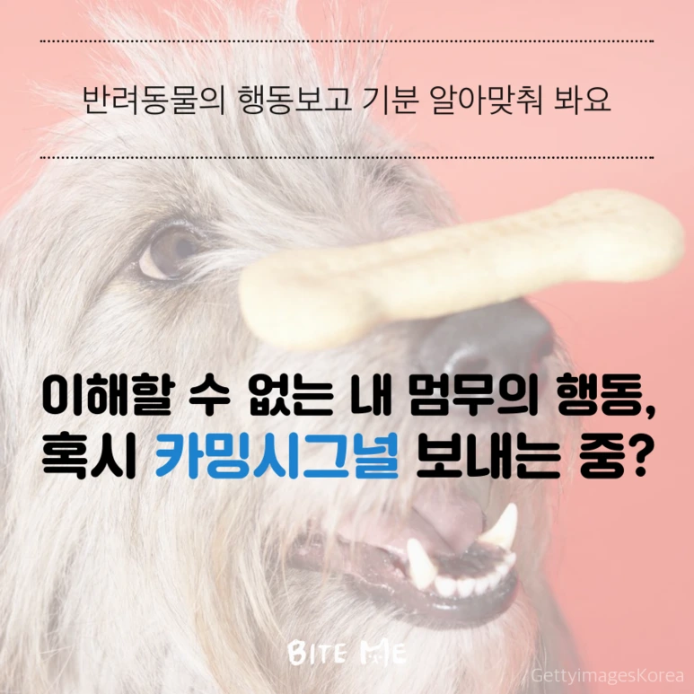 tyle-wlH-1.png?type=w773