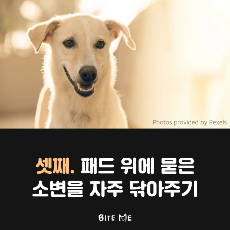 tyle-N3c-4.png?type=w773