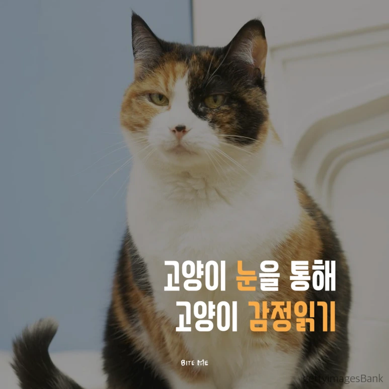 tyle-VB5-1.png?type=w773