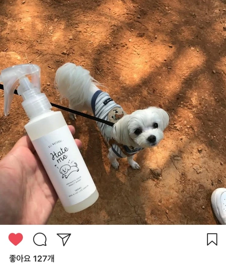 %ED%97%A4%EC%9E%87%EB%AF%B86.jpg?type=w2