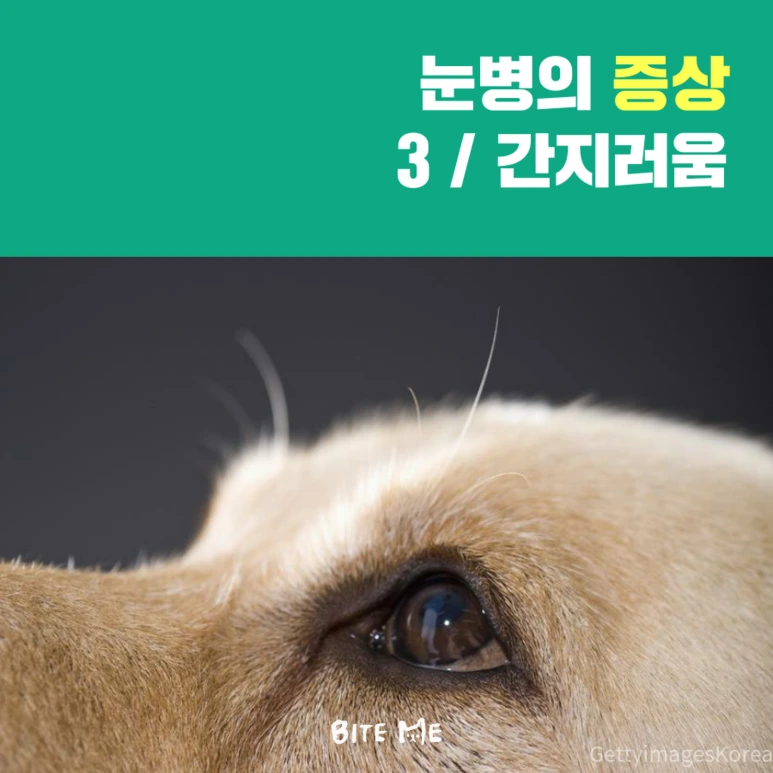 tyle-j8v-4.png?type=w773