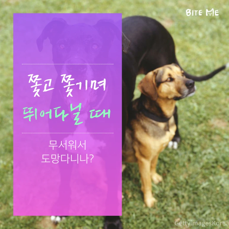 tyle-oov-5.png?type=w773