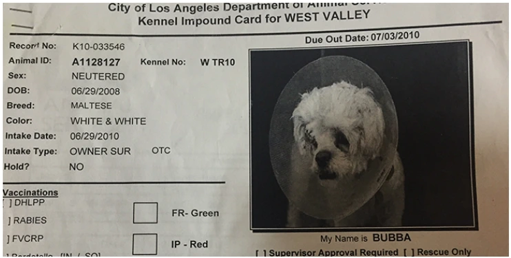 2017-04-13_09%3B28%3B28.PNG?type=w773