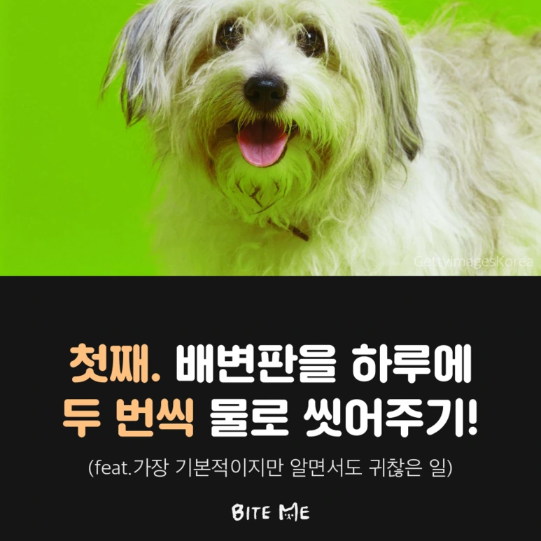 tyle-N3c-2.png?type=w773