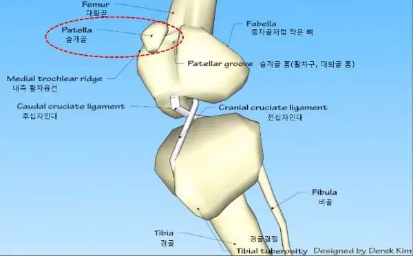 397_1202_2313.jpg?type=w773