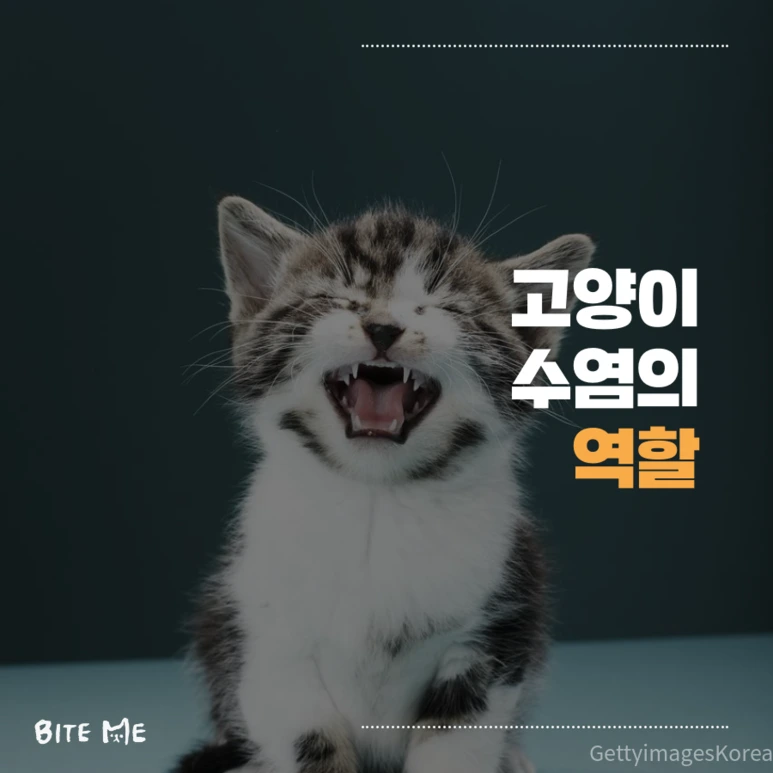 tyle-qVS-2.png?type=w773