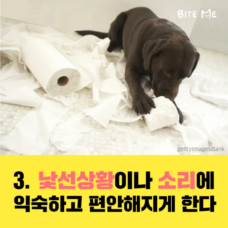 tyle-qF0-3_%282%29.png?type=w773