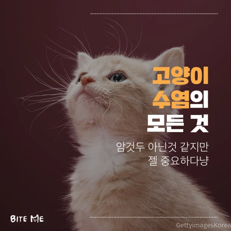 tyle-qVS-1_%281%29.png?type=w773