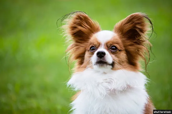 ART150408035116.jpg?type=w773