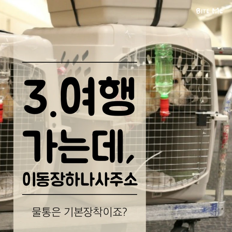 tyle-mkw-2_%282%29.png?type=w773