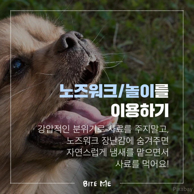 tyle-028-2.png?type=w773