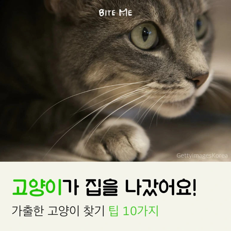 tyle-id2-1_%281%29.png?type=w773