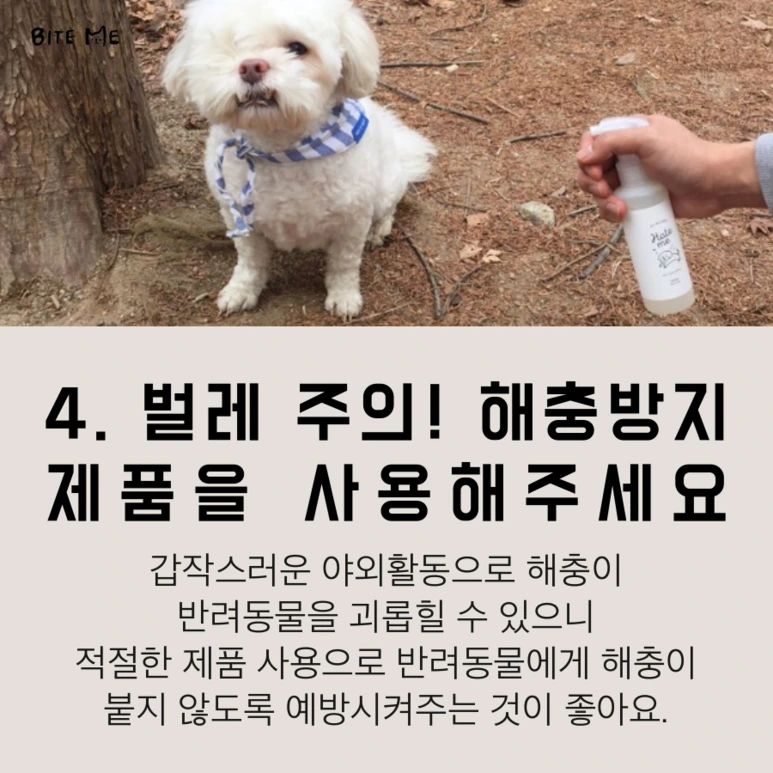 tyle-AvZ-5.png?type=w773