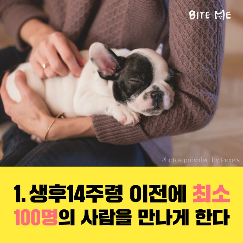 tyle-qF0-2_%281%29.png?type=w773