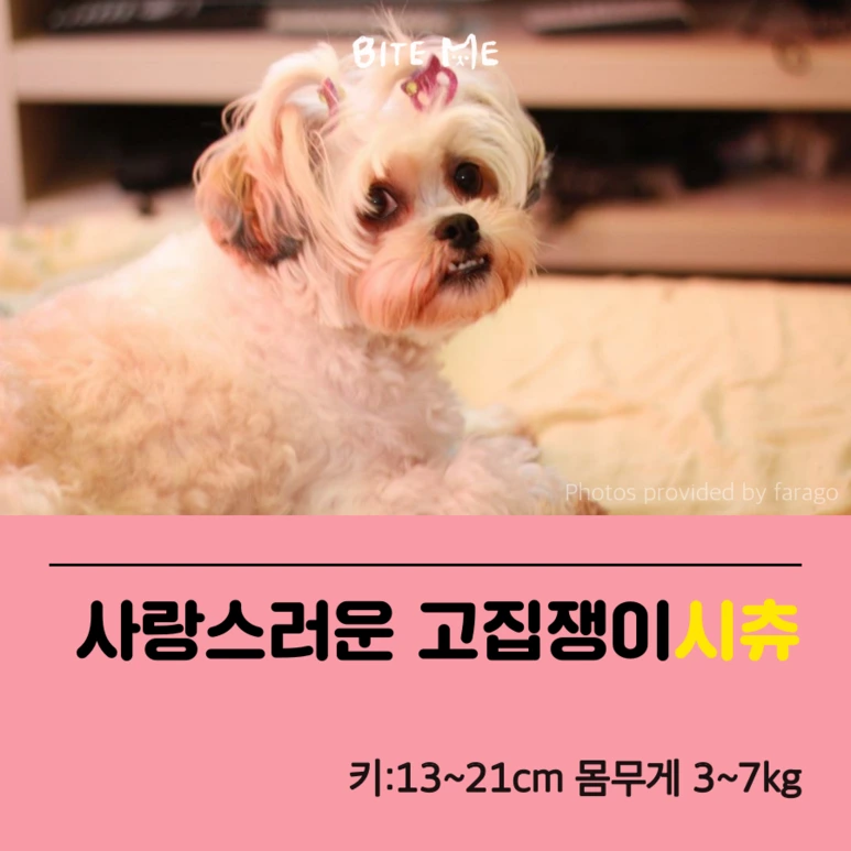 tyle-A7z-2_%285%29.png?type=w773