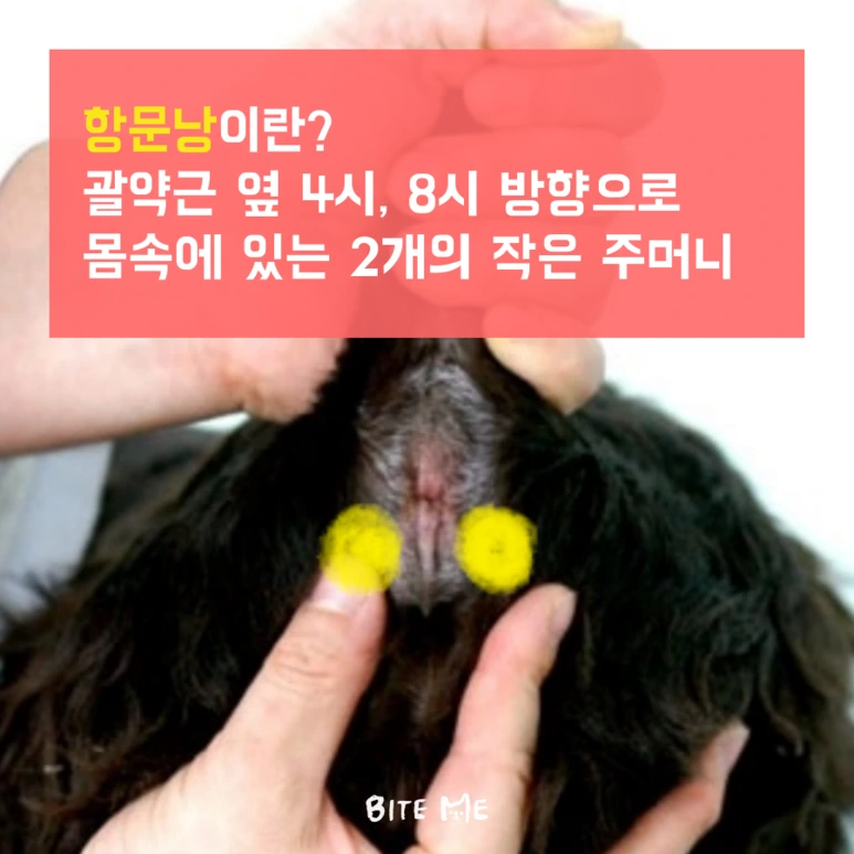 tyle-GjT-4.png?type=w773