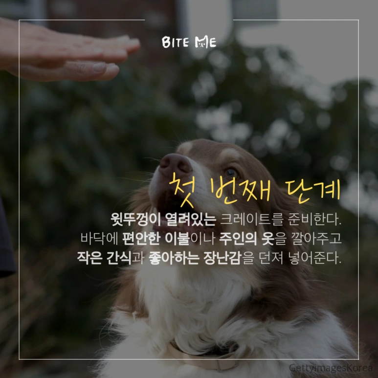 tyle-rUC-2.png?type=w773