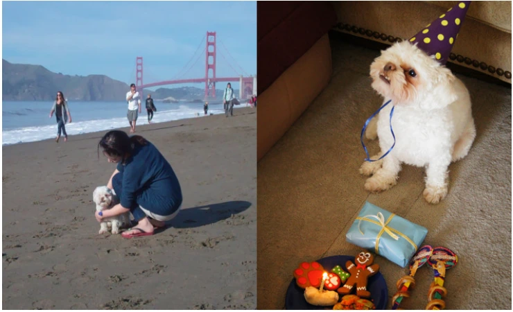 2017-04-13_09%3B28%3B49.PNG?type=w773