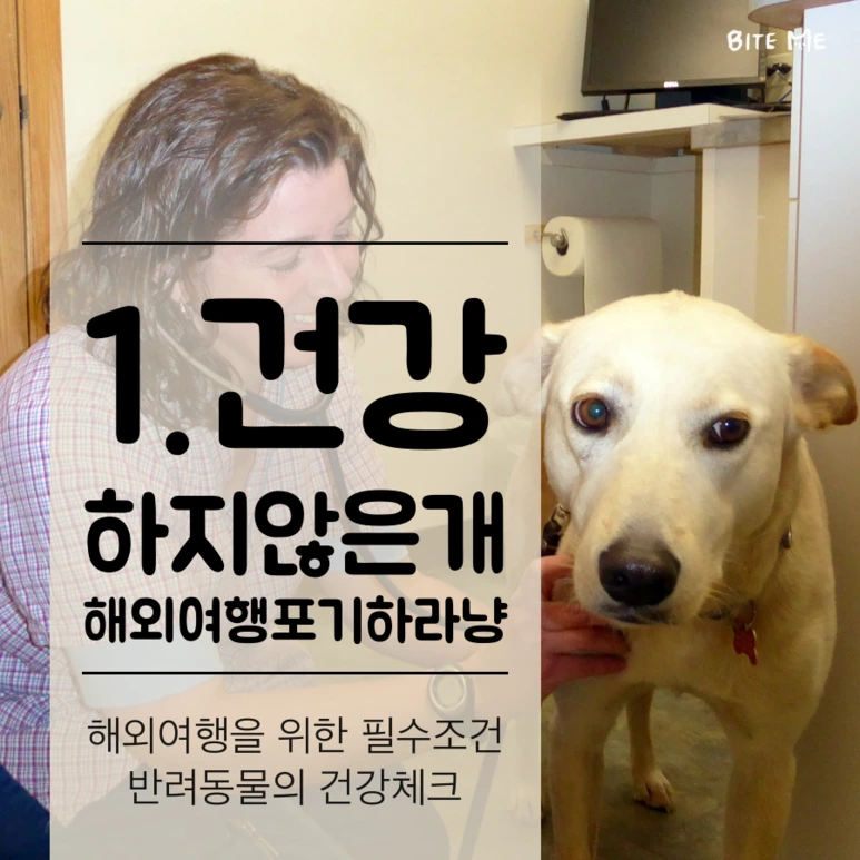 tyle-mkw-2.png?type=w773