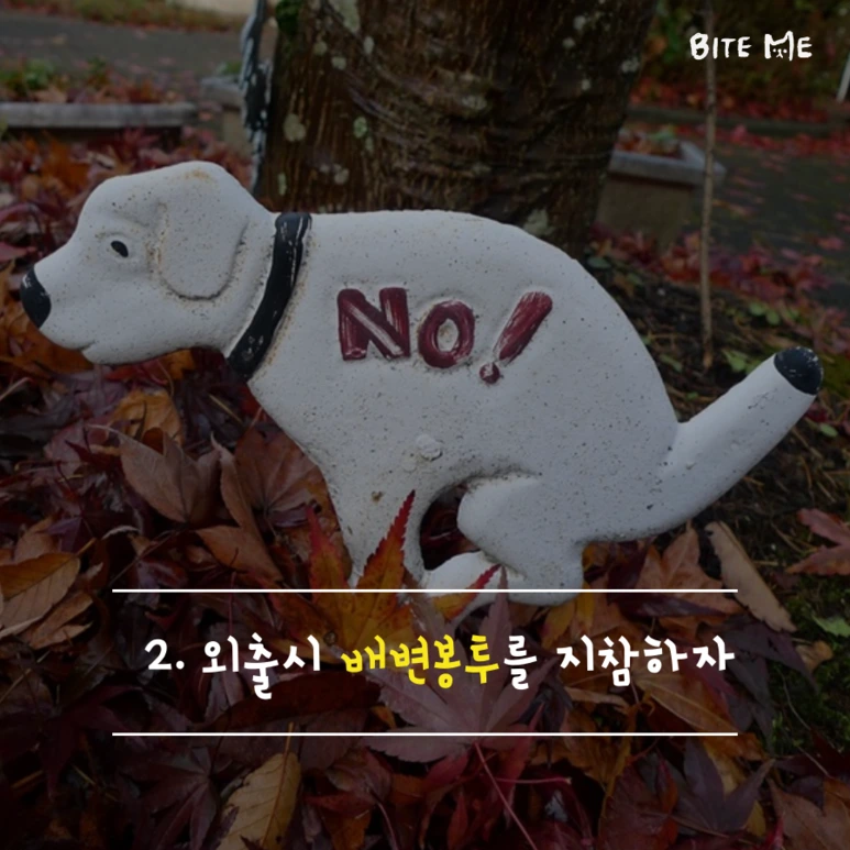 tyle-eVQ-3.png?type=w773