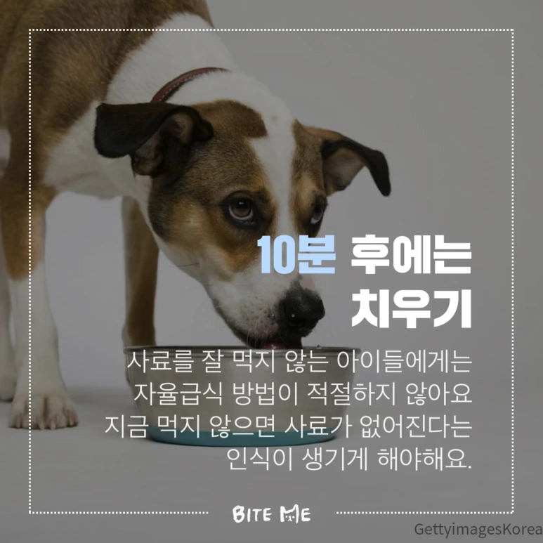 tyle-028-3.png?type=w773