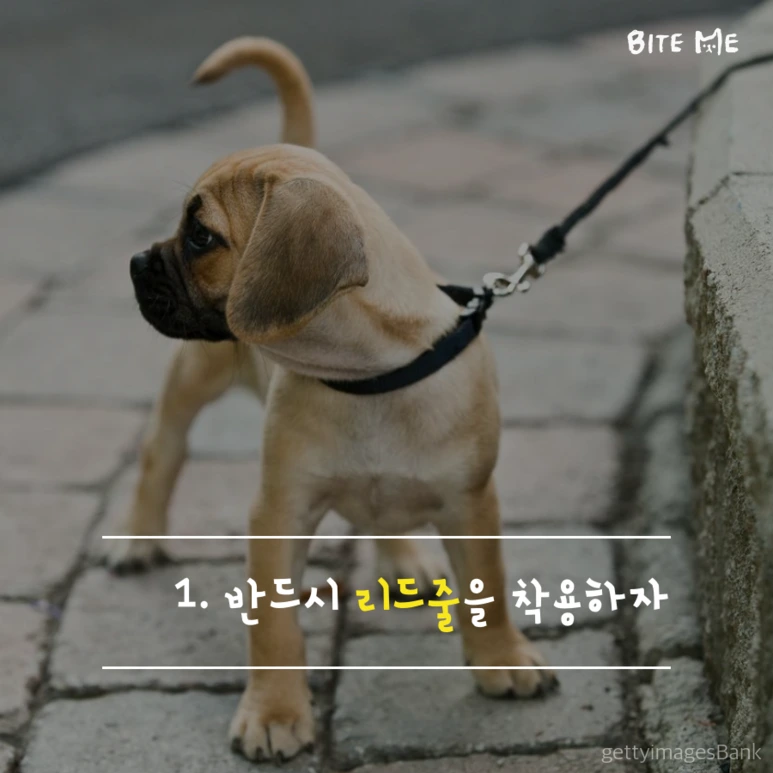 tyle-eVQ-2.png?type=w773