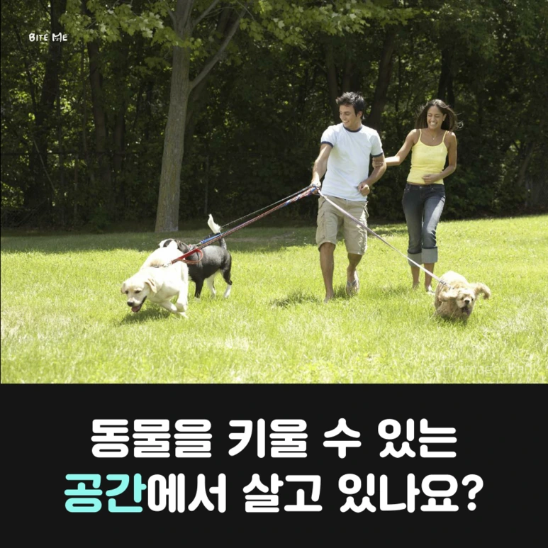 tyle-Ia4-4.png?type=w773