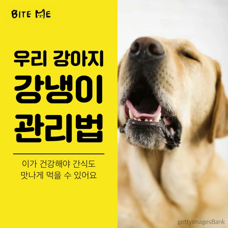 tyle-HWL-1.png?type=w773