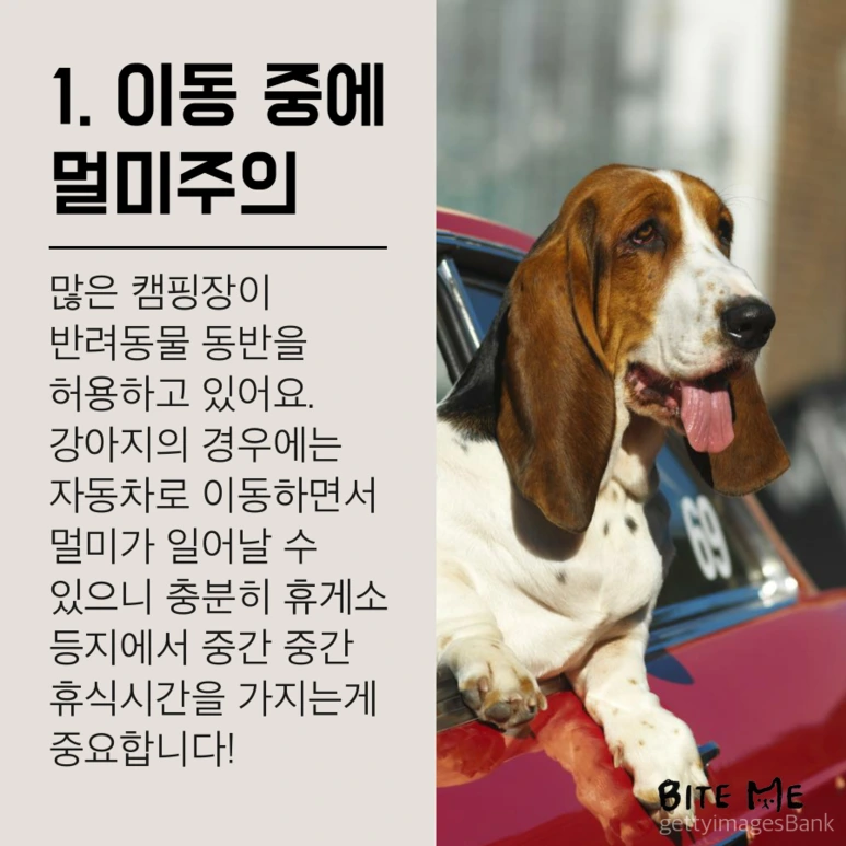 tyle-AvZ-2.png?type=w773