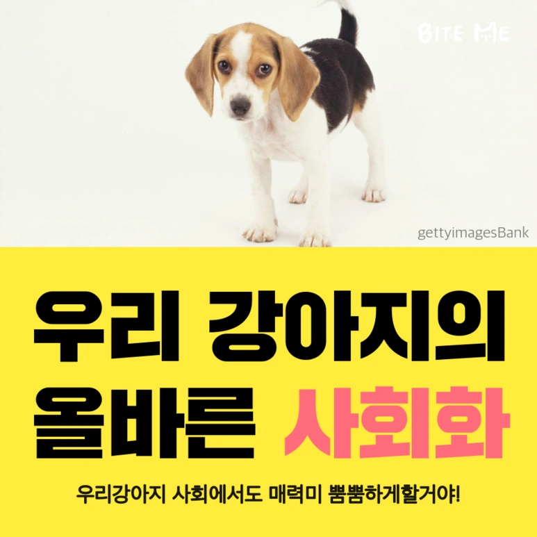 tyle-qF0-1.png?type=w773