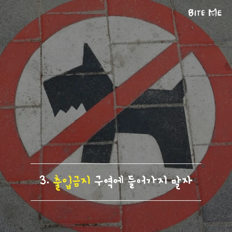 tyle-eVQ-4.png?type=w773