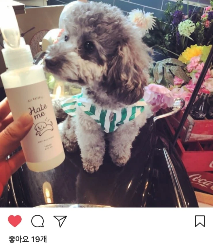 %ED%97%A4%EC%9E%87%EB%AF%B813.jpg?type=w2