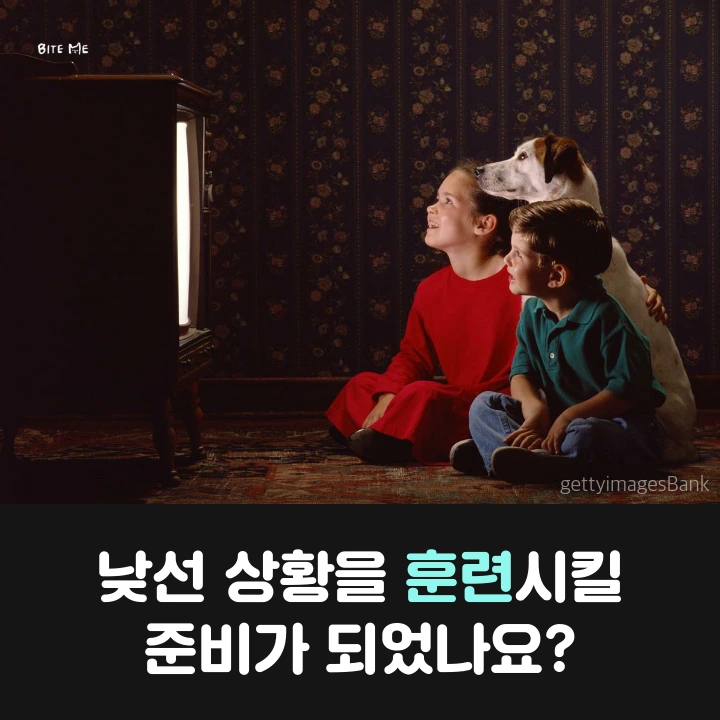 tyle-ziM-1.png?type=w773