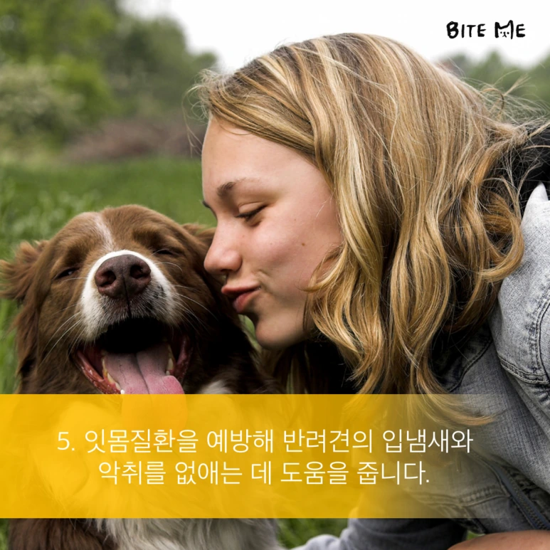 tyle-Rus-6.png?type=w773