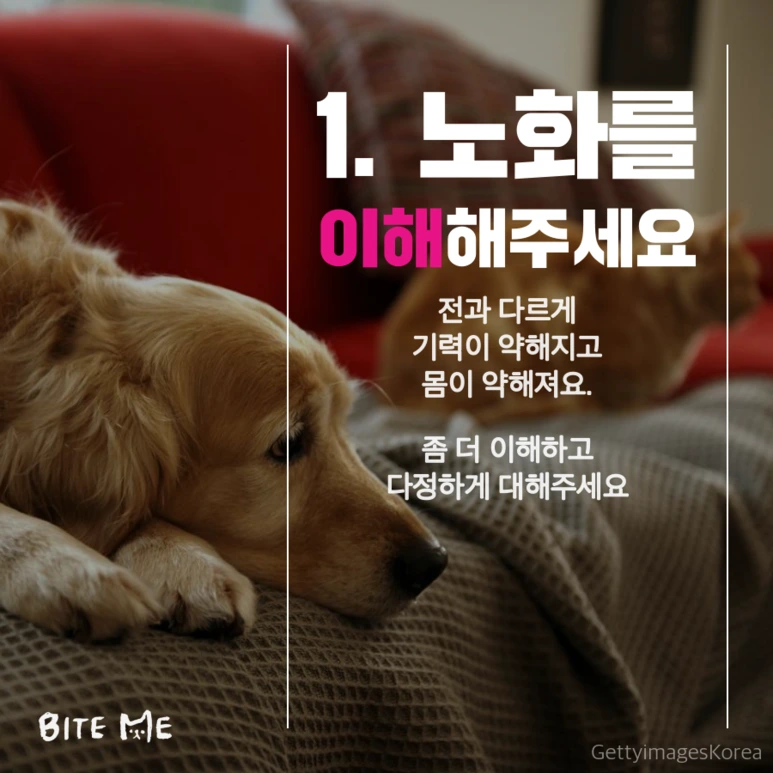 tyle-jCc-2.png?type=w773