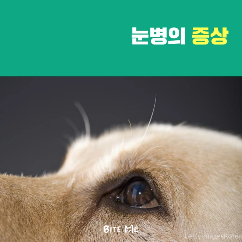 tyle-j8v-2.png?type=w773