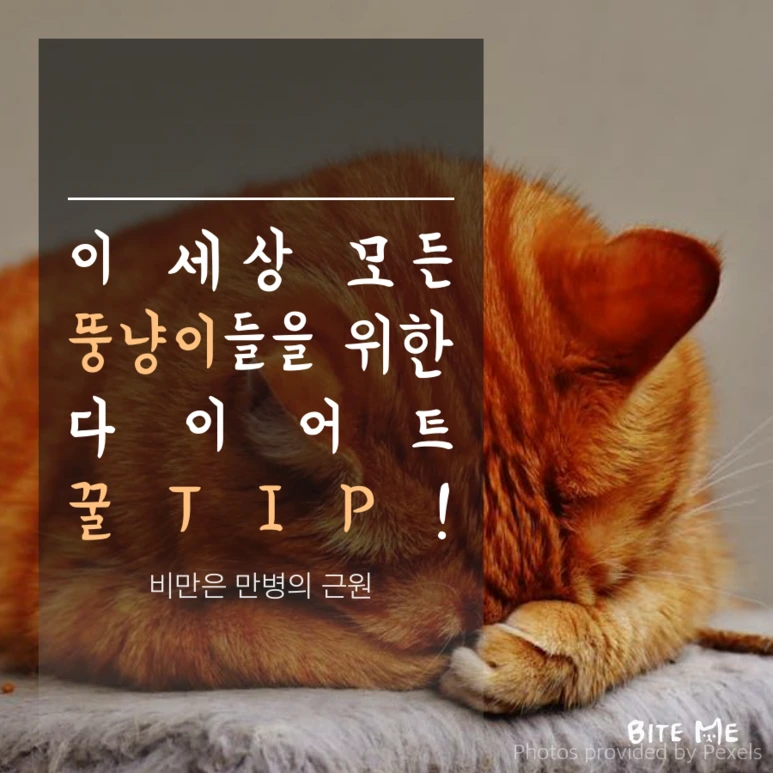 tyle-VUQ-1.png?type=w773