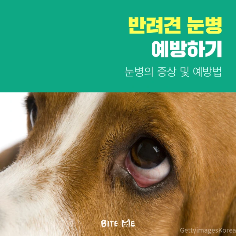 tyle-j8v-1.png?type=w773