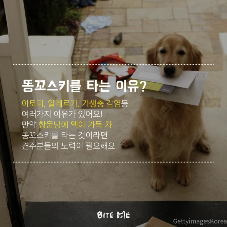 tyle-GjT-3.png?type=w773