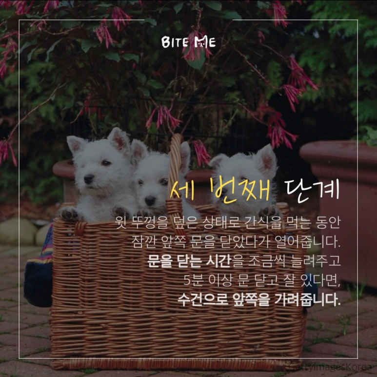 tyle-rUC-4.png?type=w773