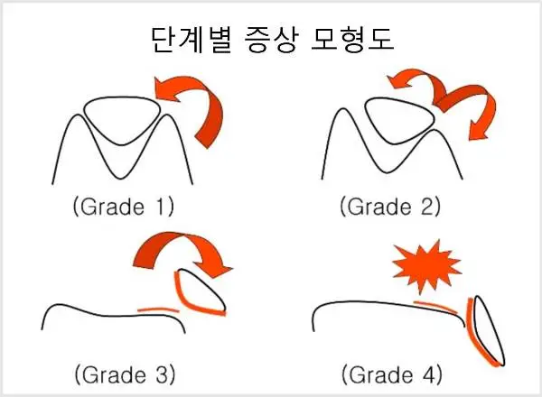 397_1204_2519.jpg?type=w773