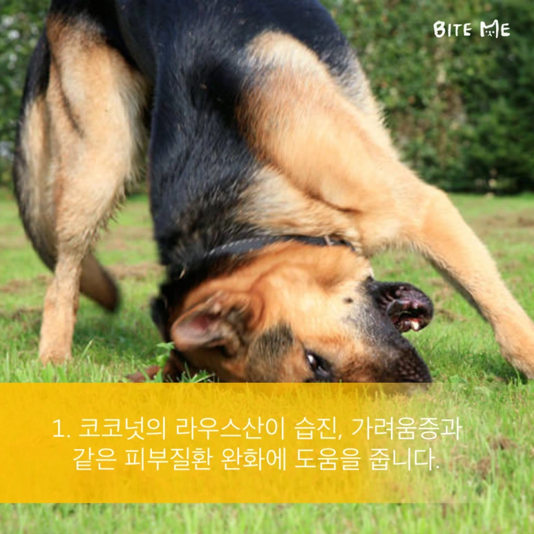 tyle-Rus-2.png?type=w773