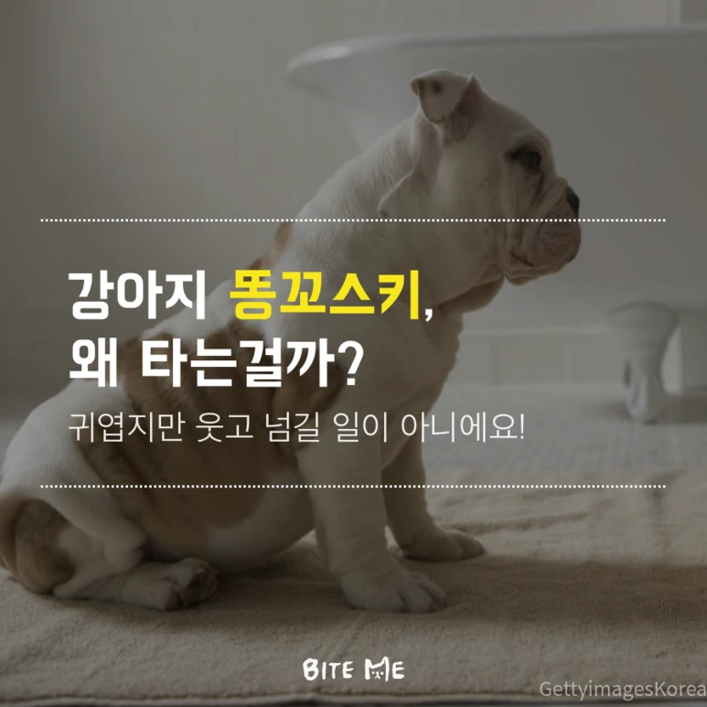 tyle-GjT-1.png?type=w773