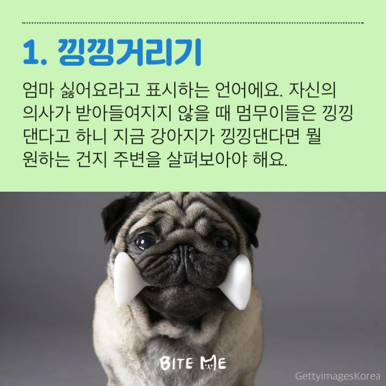 tyle-wlH-3.png?type=w773