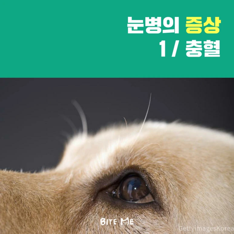 tyle-j8v-2.png?type=w773