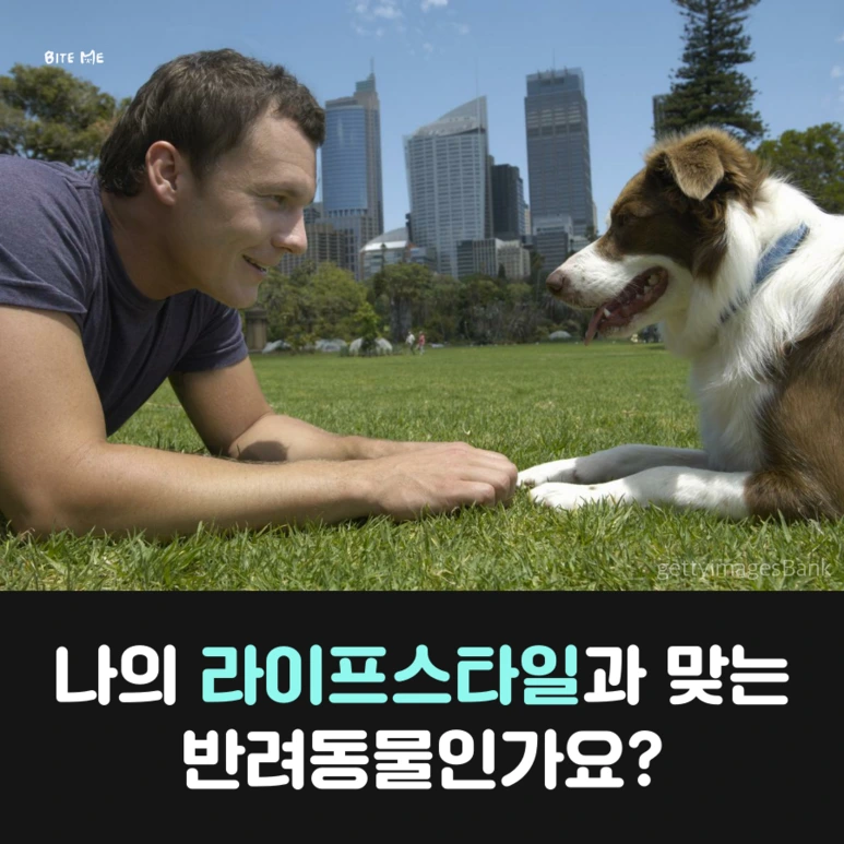 tyle-Ia4-3.png?type=w773